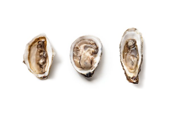 pearl oyster app